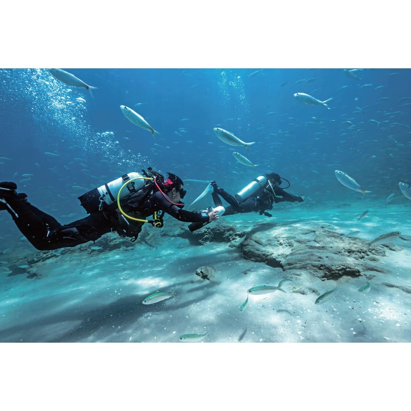 High-Speed Electric Underwater - Aquatic Diving のレビューと価格