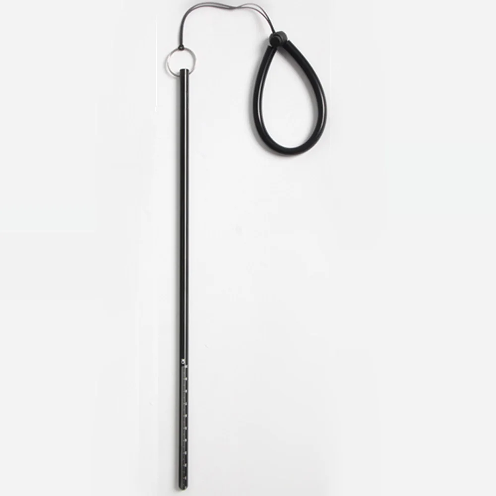 Scuba Dive Lobster Stick Point - Aquatic Diving のレビューと価格