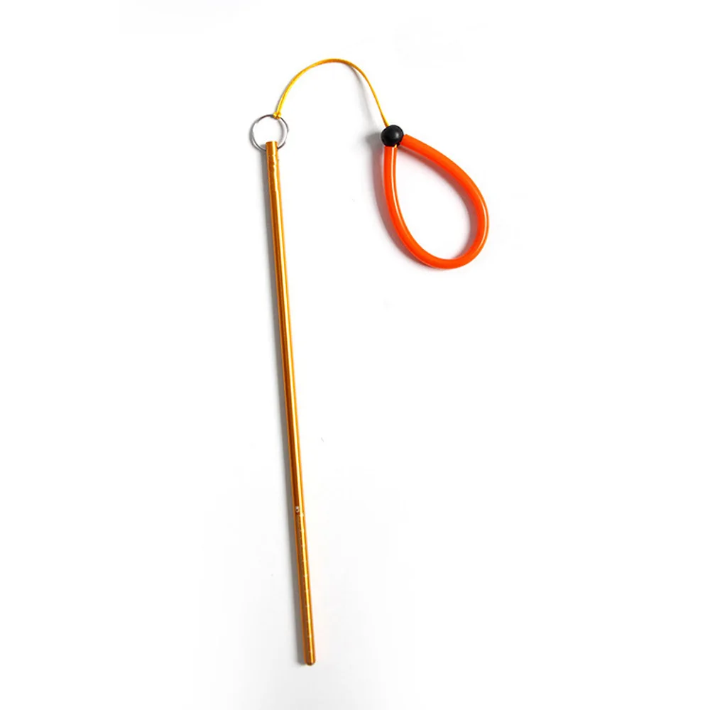 Scuba Dive Lobster Stick Point - Aquatic Diving のレビューと価格
